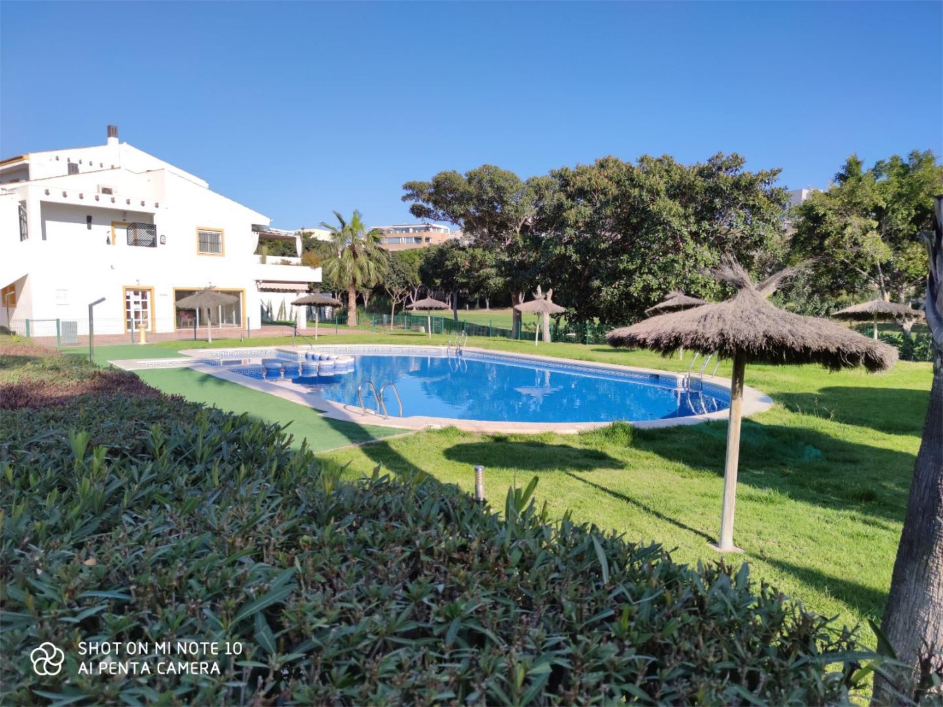 Swimming pool of Planta baja to share in Alicante / Alacant  with Air Conditioner, Heating and Private garden