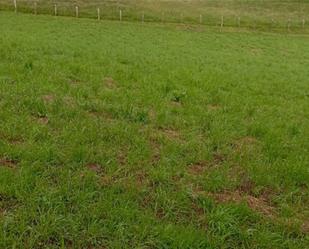 Constructible Land for sale in Sariego