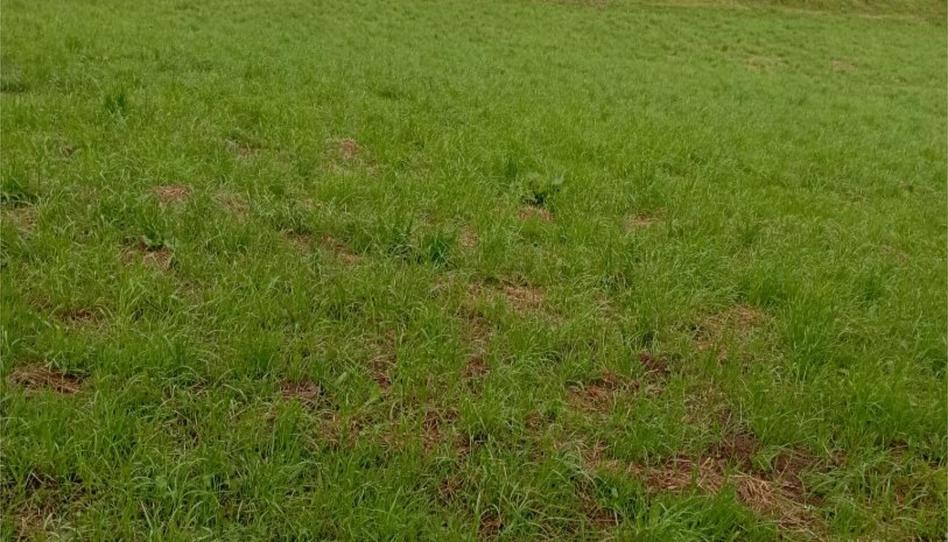 Foto 1 de Urbanitzable en venda a Calle Doctor Rimada, 10, Sariego, Asturias