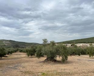 Grundstücke zum verkauf in Aguilar de la Frontera