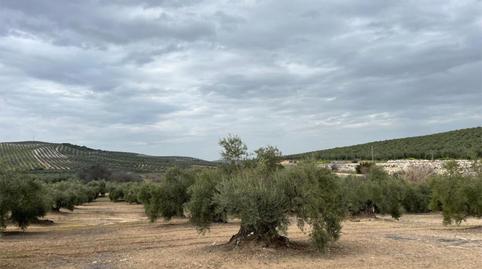 Land for sale in Plaza Llano de las Coronadas, 1, Aguilar de la Frontera, Córdoba - image 2 Photo 2 of Land for sale in Plaza Llano de las Coronadas, 1, Aguilar de la Frontera, Córdoba