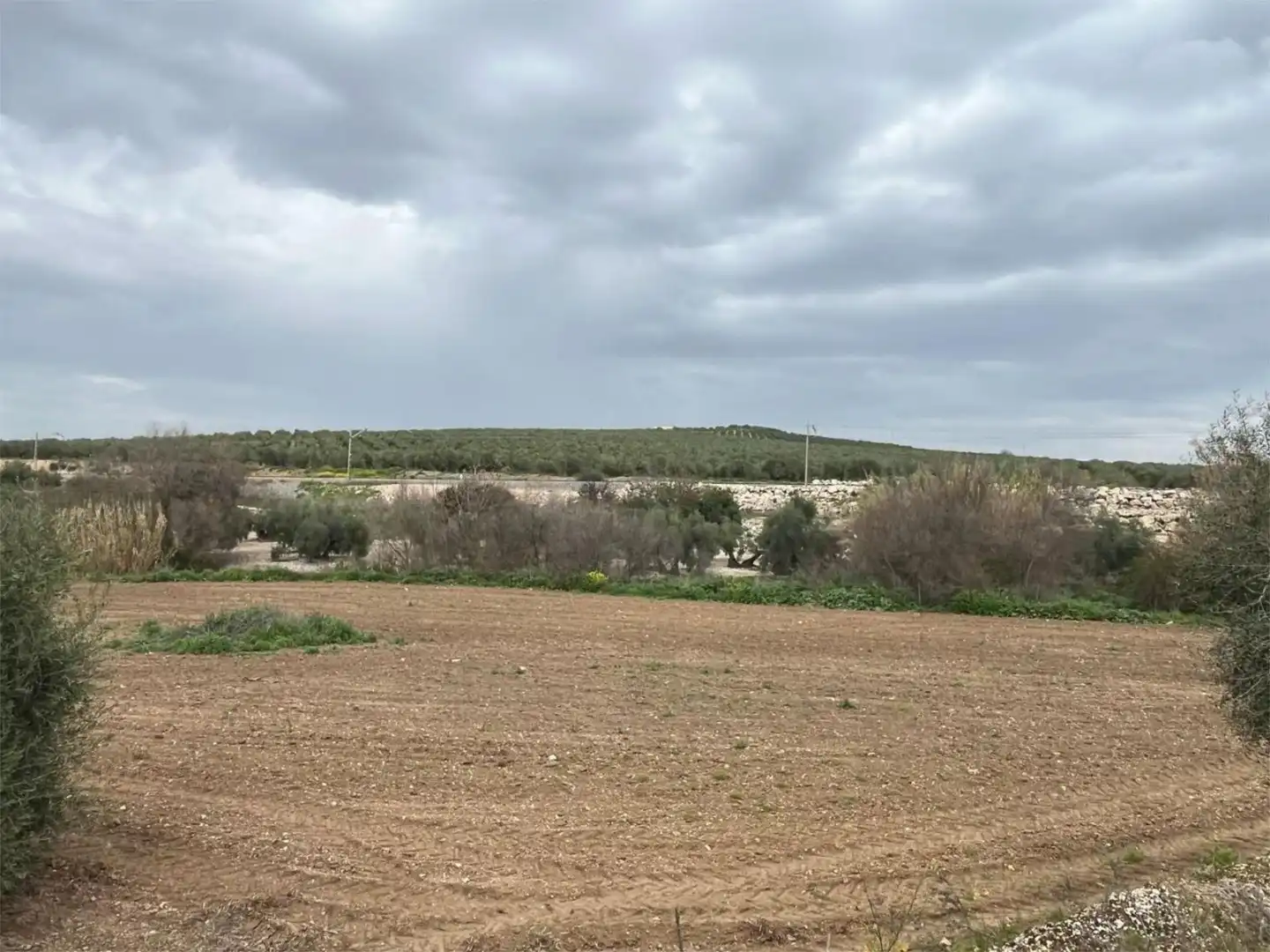 Land for sale in Aguilar de la Frontera