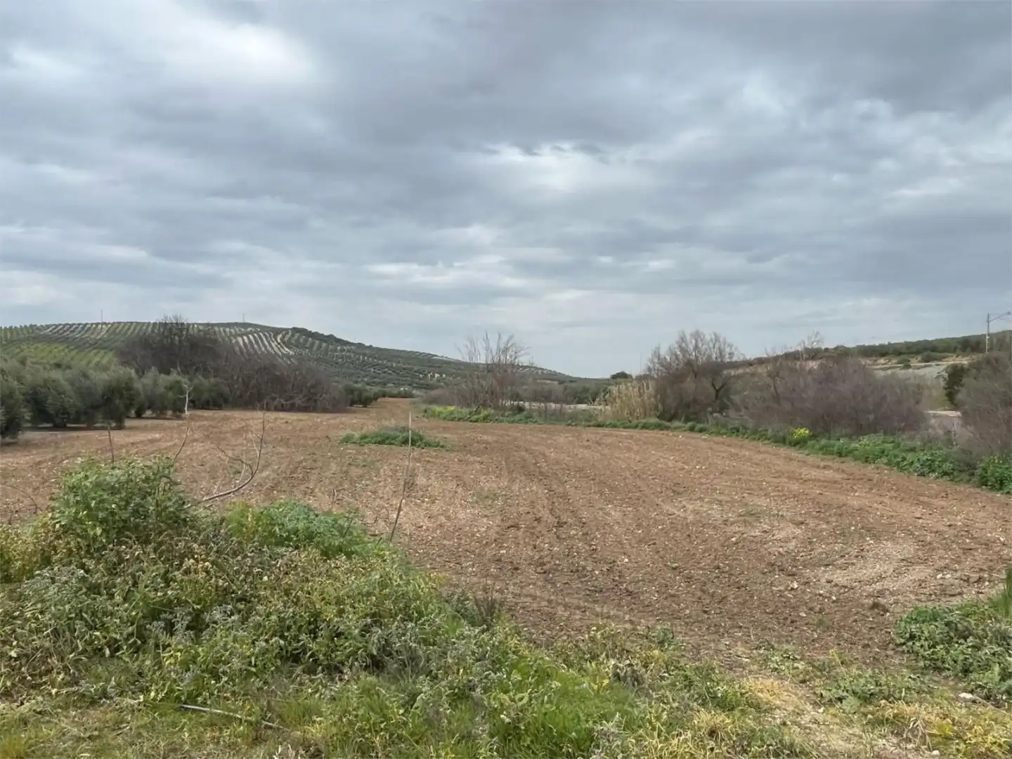 Land for sale in Aguilar de la Frontera