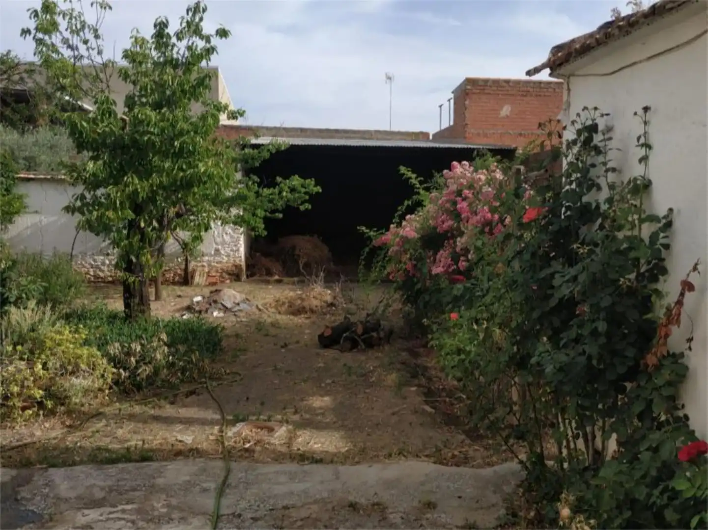 Ground floor for sale in Calle Doctor Fleming, 3, Bolaños de Calatrava Garden of Ground floor for sale in Bolaños de Calatrava with Heating, Private garden and Storage room