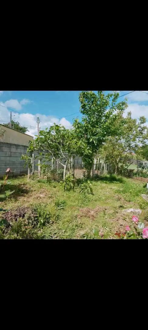 Finca rústica en venda a N-640, 4, Agolada Finca rústica en venda en Agolada amb Jardí privat, Parquet i Traster