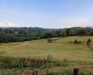 Non-constructible Land for sale in Oviedo 