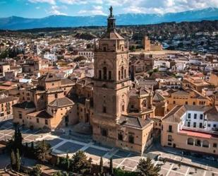 Vista exterior de Pis de lloguer en Guadix amb Aire condicionat, Calefacció i Parquet