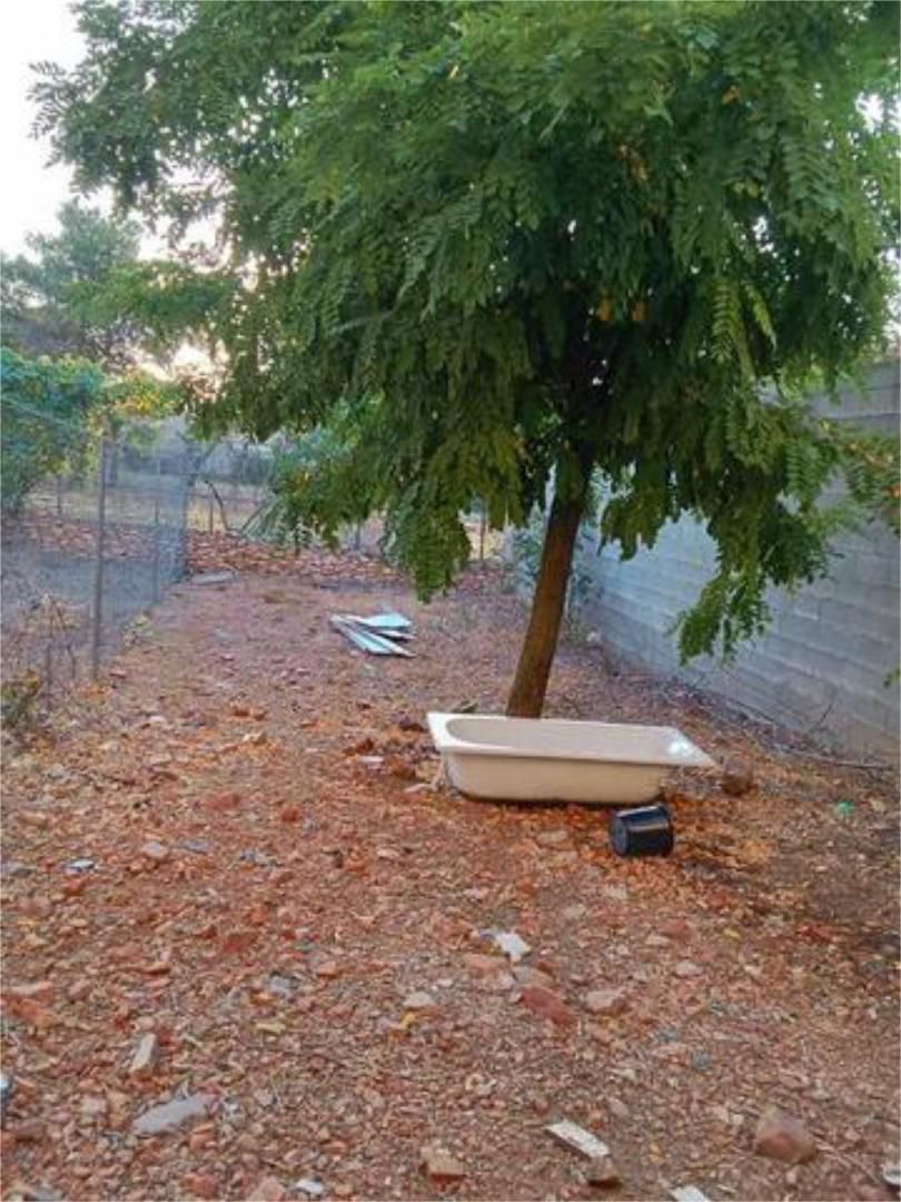 Garden of House or chalet for sale in Villarrubia de los Ojos  with Terrace