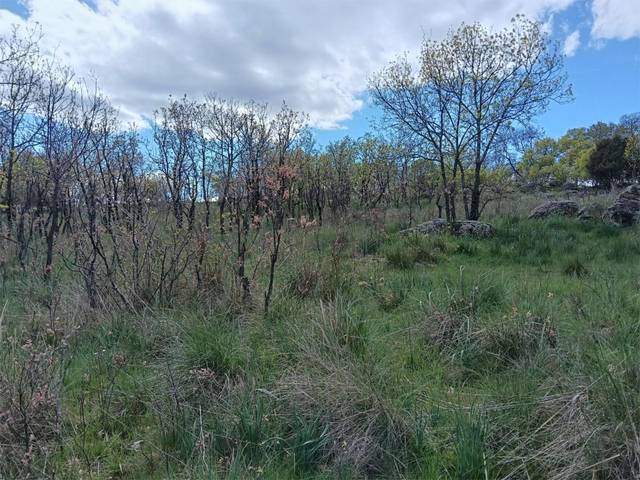 Terreno en Venta en Calle Diseminado, 1623 en Miraflores de la Sierra