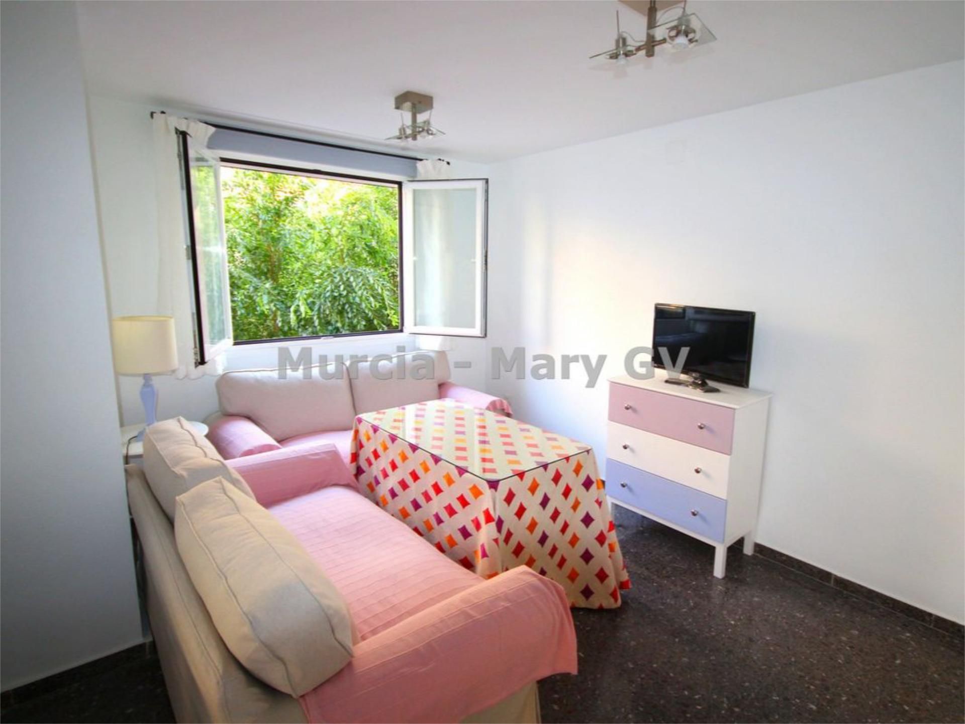Living room of Flat to rent in  Murcia Capital  with Furnished and Balcony