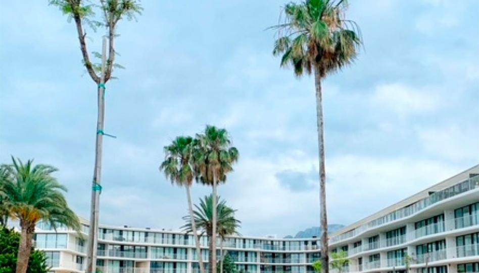 Flat for sale in Carrer Riu Alberca, 2, Devessa - Monte Pego, Alicante - image 1 Photo 1 of Flat for sale in Carrer Riu Alberca, 2, Devessa - Monte Pego, Alicante