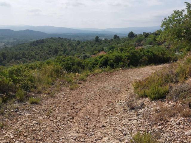 Terreno en Venta en Carrer Sant Mateu, 10 en Cervera del Maestre