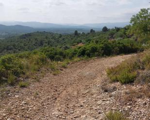 Grundstücke zum verkauf in Cervera del Maestre