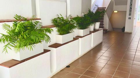 Apartment to rent in Calle Irís, 11, Nueva Andalucía centro, Málaga - image 3 Photo 3 of Apartment to rent in Calle Irís, 11, Nueva Andalucía centro, Málaga