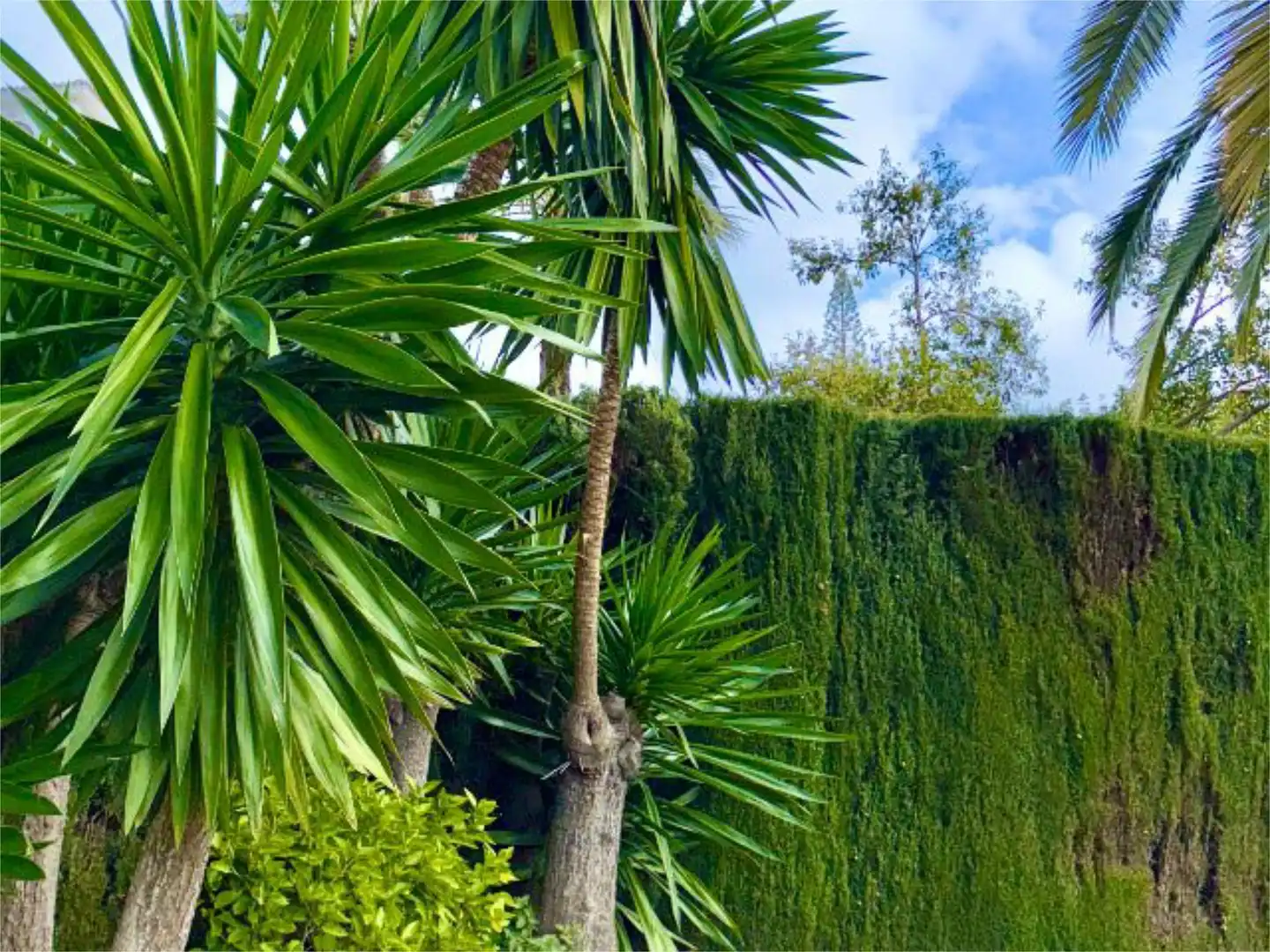 Jardí de Apartament de lloguer en Marbella amb Aire condicionat, Calefacció i Jardí privat