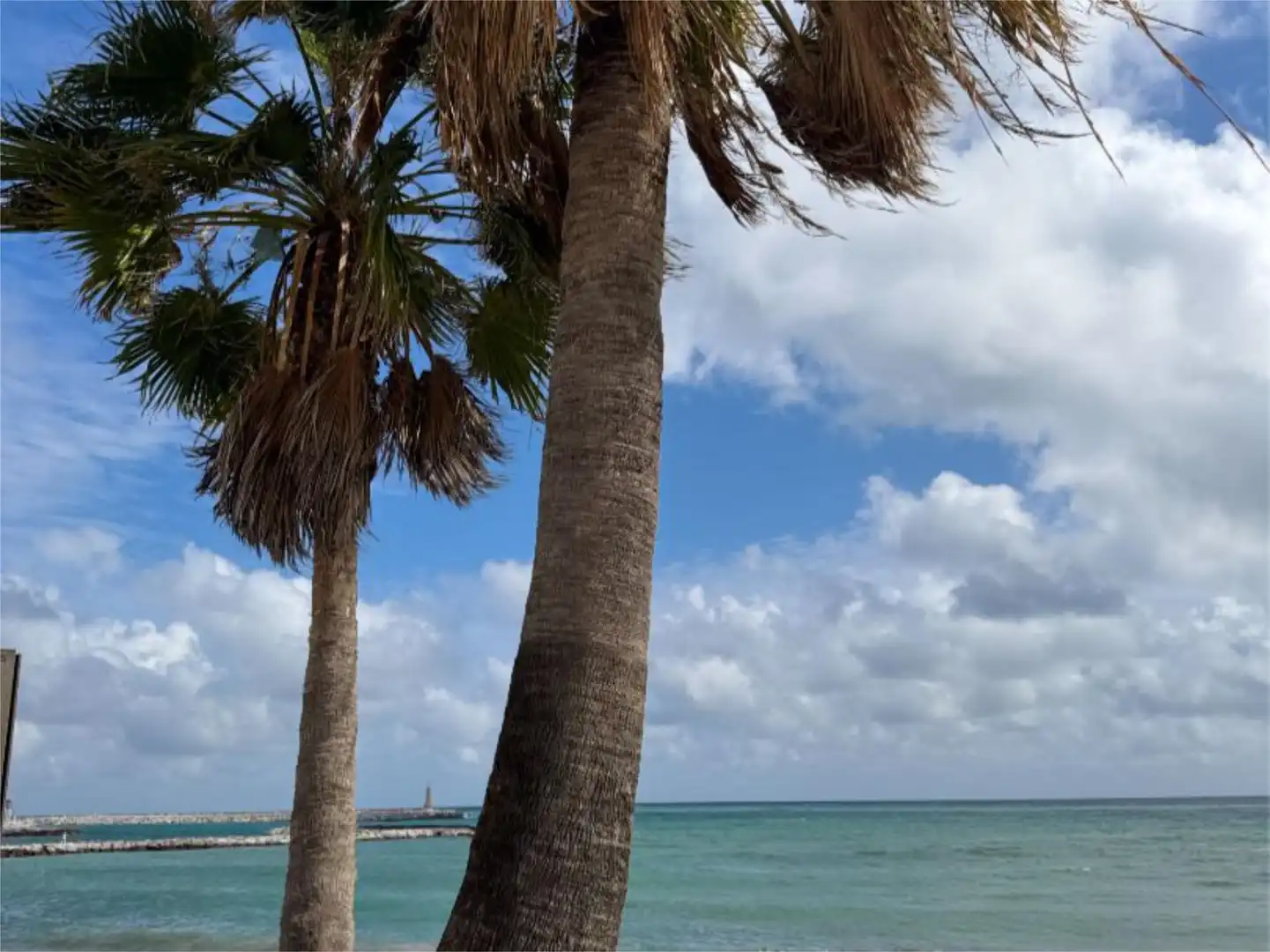 Vista exterior de Apartament de lloguer en Marbella amb Aire condicionat, Calefacció i Jardí privat