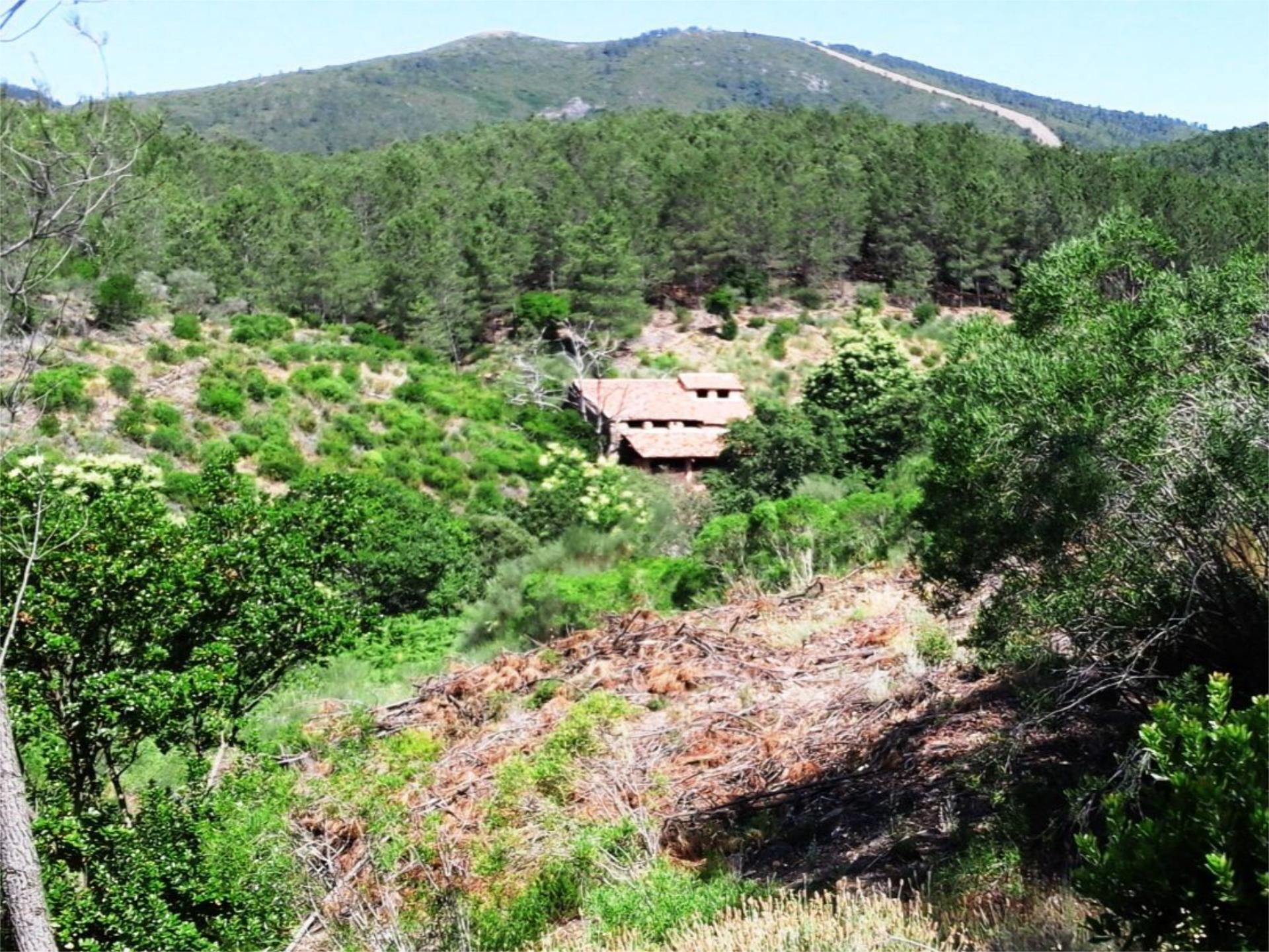 Non-constructible Land for sale in Gata