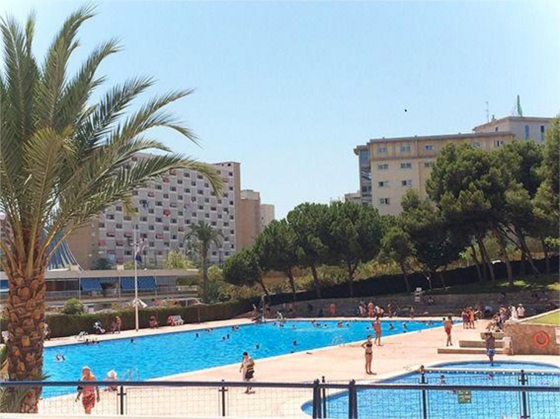 Swimming pool of Loft to rent in Alicante / Alacant  with Private garden, Swimming Pool and Furnished