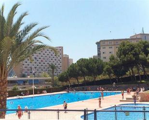 Piscina de Loft de lloguer en Alicante / Alacant amb Jardí privat, Piscina i Moblat