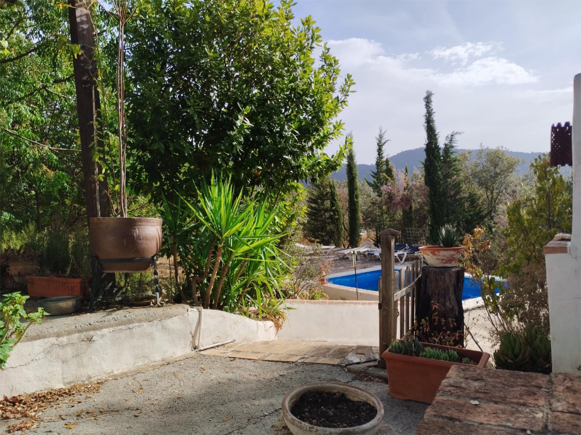 Jardí de Finca rústica de lloguer en Espiel amb Aire condicionat, Jardí privat i Terrassa