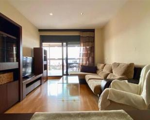 Living room of Attic for sale in Roquetas de Mar  with Private garden, Terrace and Furnished