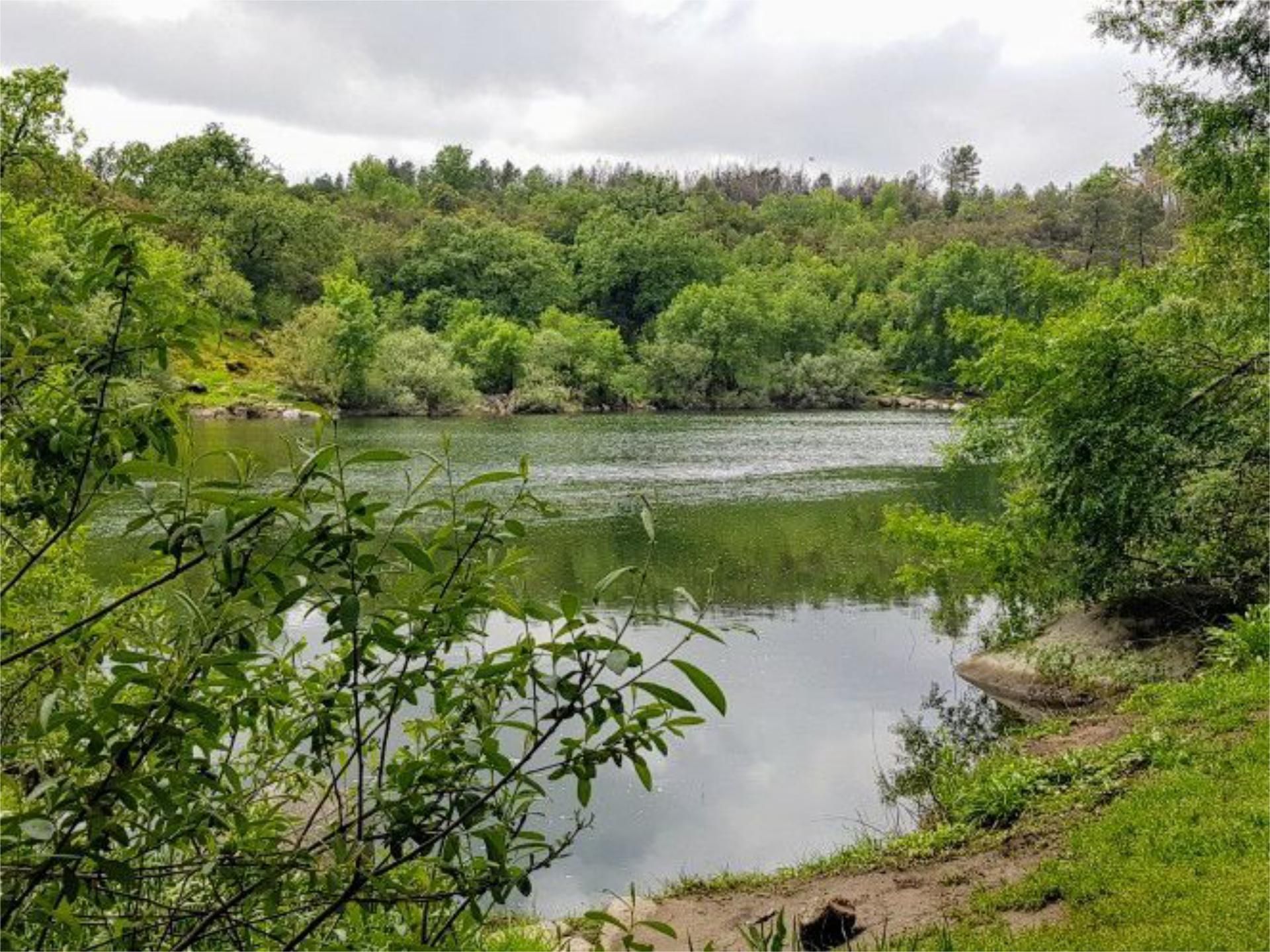 Land for sale in Valverde de la Vera
