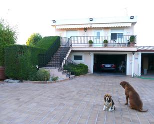 Jardí de Casa o xalet de lloguer en Villamayor amb Terrassa, Piscina i Balcó