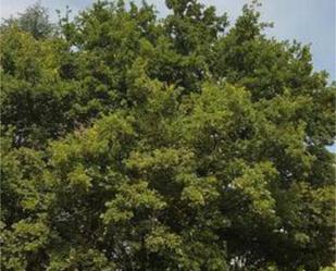 Vista exterior de Casa o xalet en venda en Lugo Capital amb Calefacció, Jardí privat i Terrassa