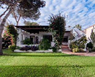 Garden of House or chalet for sale in Roquetas de Mar  with Terrace and Swimming Pool