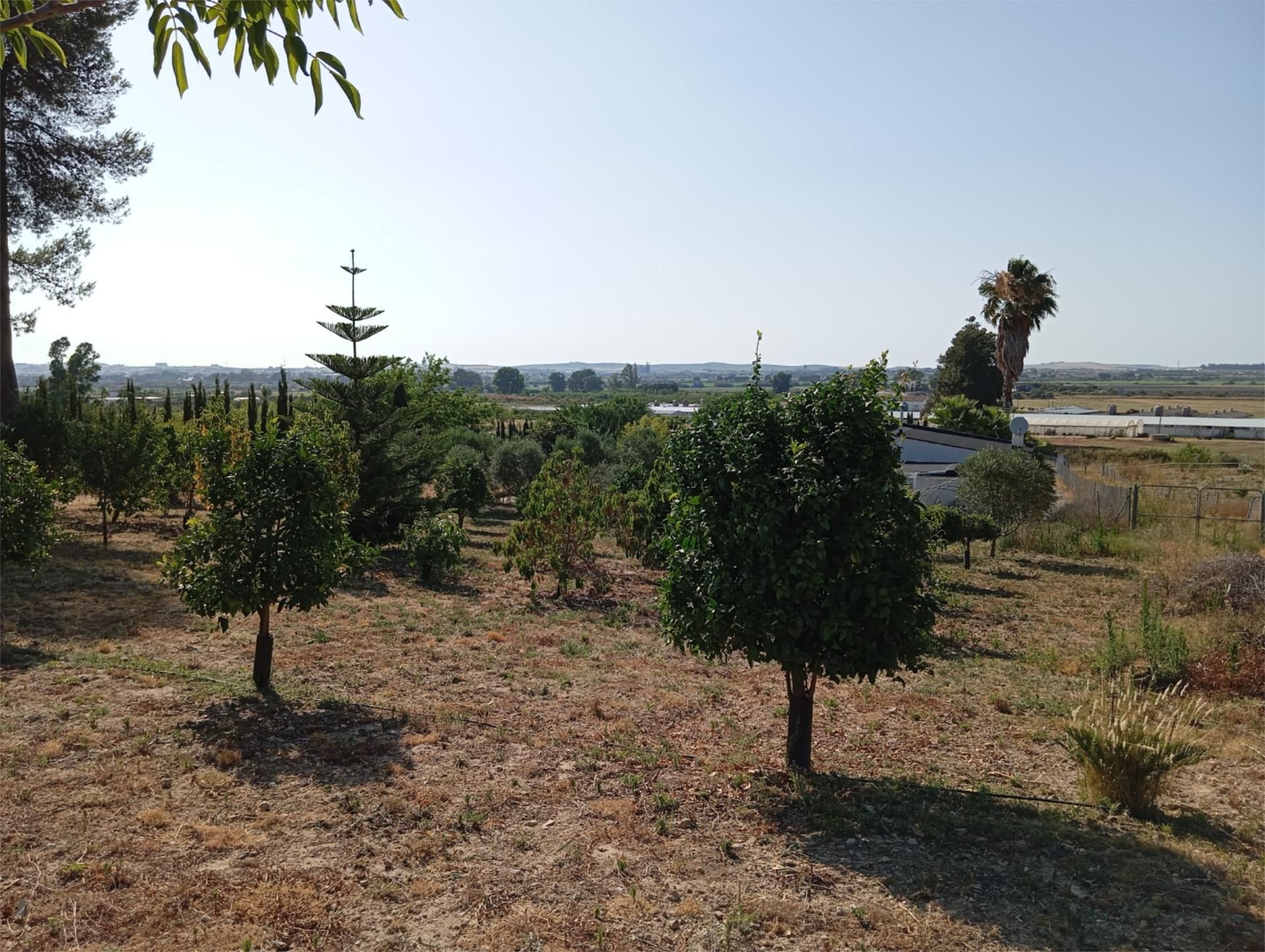 Land for sale in Calle del Pozo, 6, El Rocío - La Milagrosa Land for sale in Jerez de la Frontera