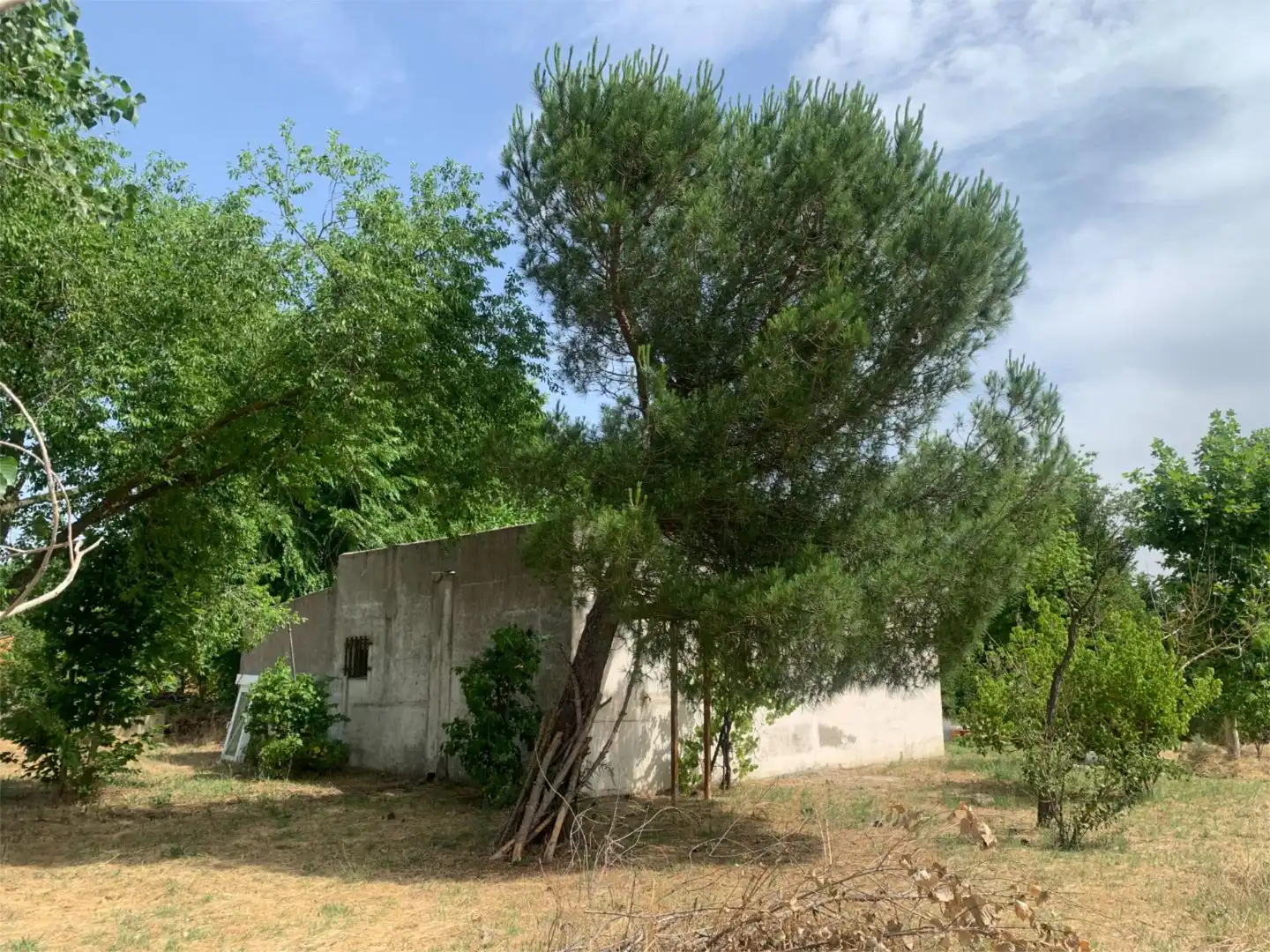 Land for sale in Tordesillas