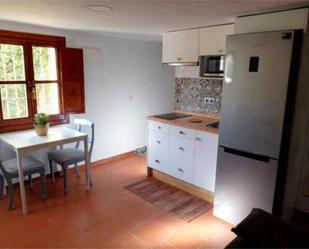 Kitchen of Flat to rent in Montequinto  with Private garden and Furnished