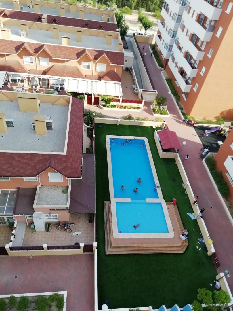 Swimming pool of Flat to rent in Elche / Elx  with Furnished, Oven and Washing machine