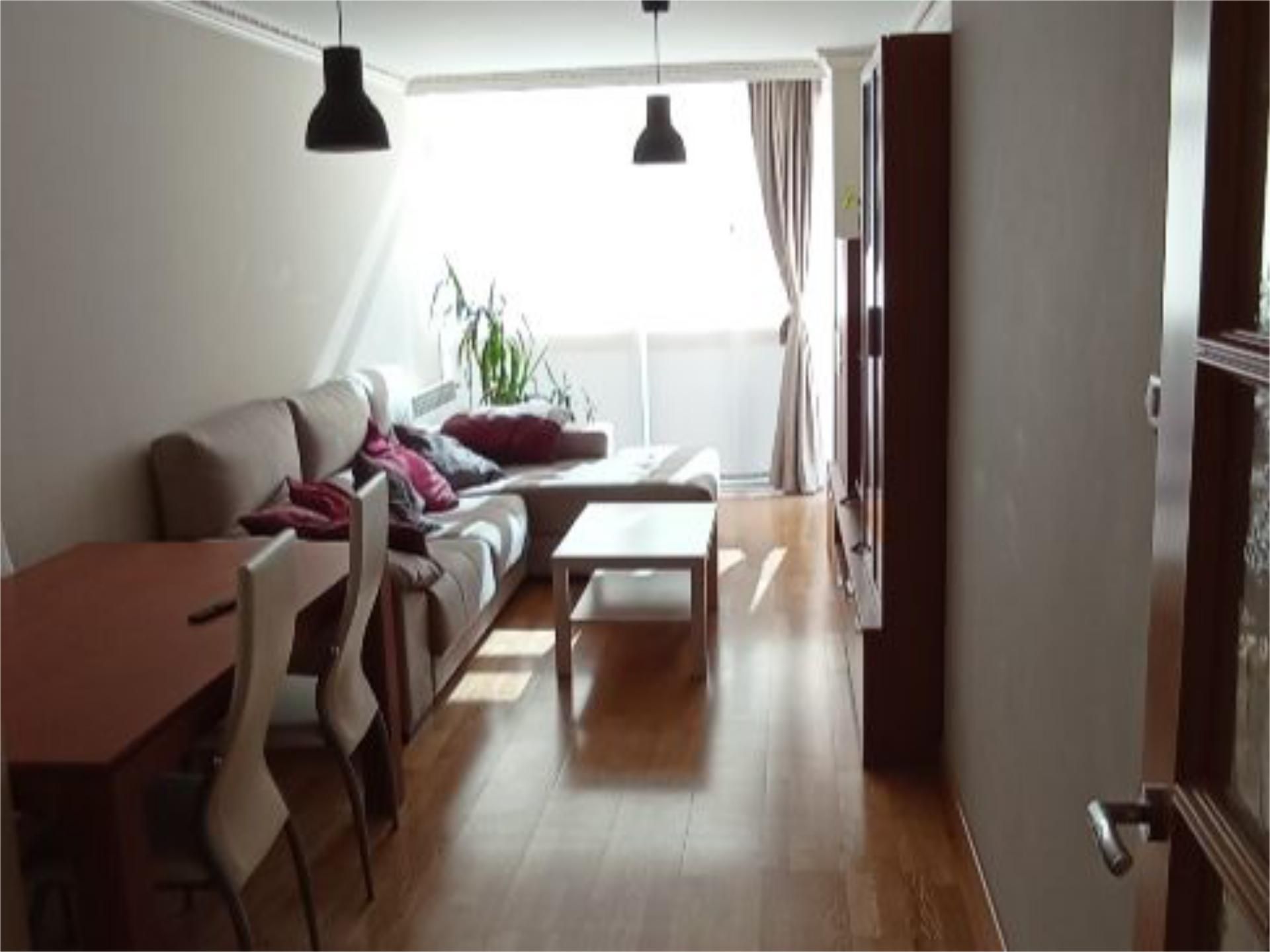 Sala d'estar de Pis de lloguer en Aranda de Duero amb Calefacció, Parquet i Terrassa