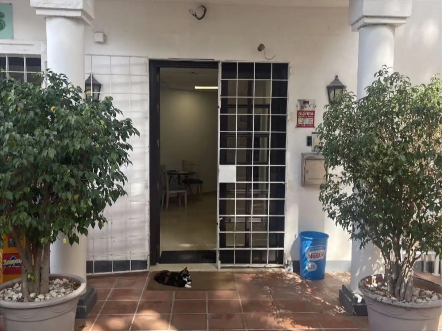Oficina de alquiler en Marbella