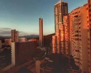 Vista exterior de Apartament en venda en Benidorm amb Piscina i Balcó