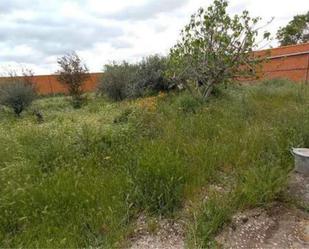 Casa o xalet en venda en Lillo