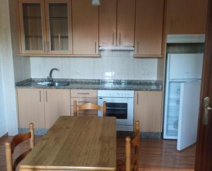 Cuina de Apartament de lloguer en Santiago de Compostela  amb Parquet i Moblat