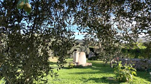 Planta baja to rent in Carrer de la Creu, 17, Poble, Girona - image 5 Photo 5 of Planta baja to rent in Carrer de la Creu, 17, Poble, Girona