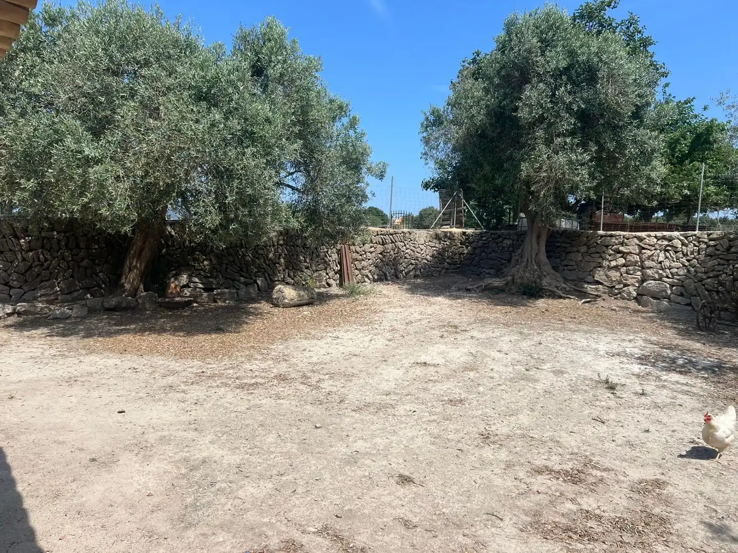 Finca rústica de alquiler en Ciutat d'Alcúdia Finca rústica de alquiler en Alcúdia con Aire acondicionado, Jardín privado y Terraza