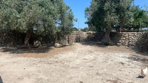 Country house to rent in Ciutat d'Alcúdia, Illes Balears - image 2 Photo 2 of Country house to rent in Ciutat d'Alcúdia, Illes Balears