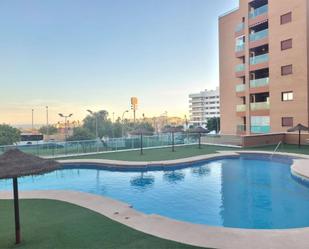 Swimming pool of Flat to rent in  Almería Capital  with Air Conditioner, Heating and Parquet flooring