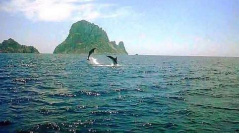 Foto 5 de Urbanitzable en venda a Diseminado Poligono 21, 3027, Es Cubells, Illes Balears