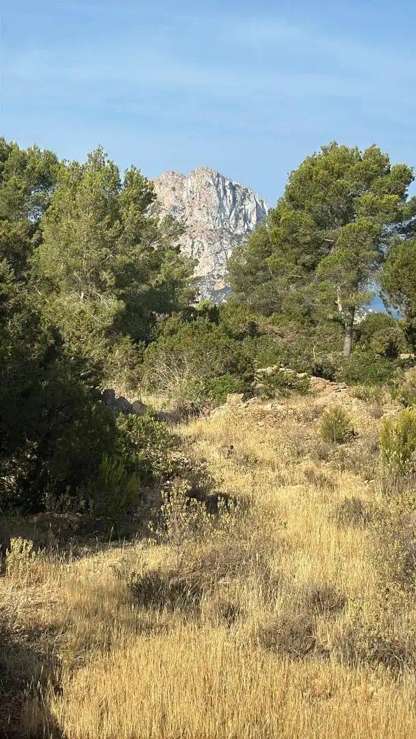 Urbanitzable en venda en Sant Josep de sa Talaia
