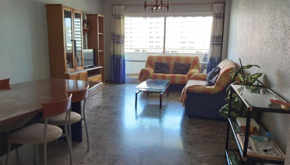 Flat to rent in Calle Franz Kafka, 15, El Tejar - Hacienda Bizcochero, Málaga Capital - image 1 Photo 1 of Flat to rent in Calle Franz Kafka, 15, El Tejar - Hacienda Bizcochero, Málaga Capital