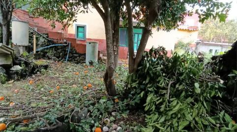 House or chalet for sale in Calle Emeterio Suárez, 4, Valleseco, Las Palmas - image 4 Photo 4 of House or chalet for sale in Calle Emeterio Suárez, 4, Valleseco, Las Palmas