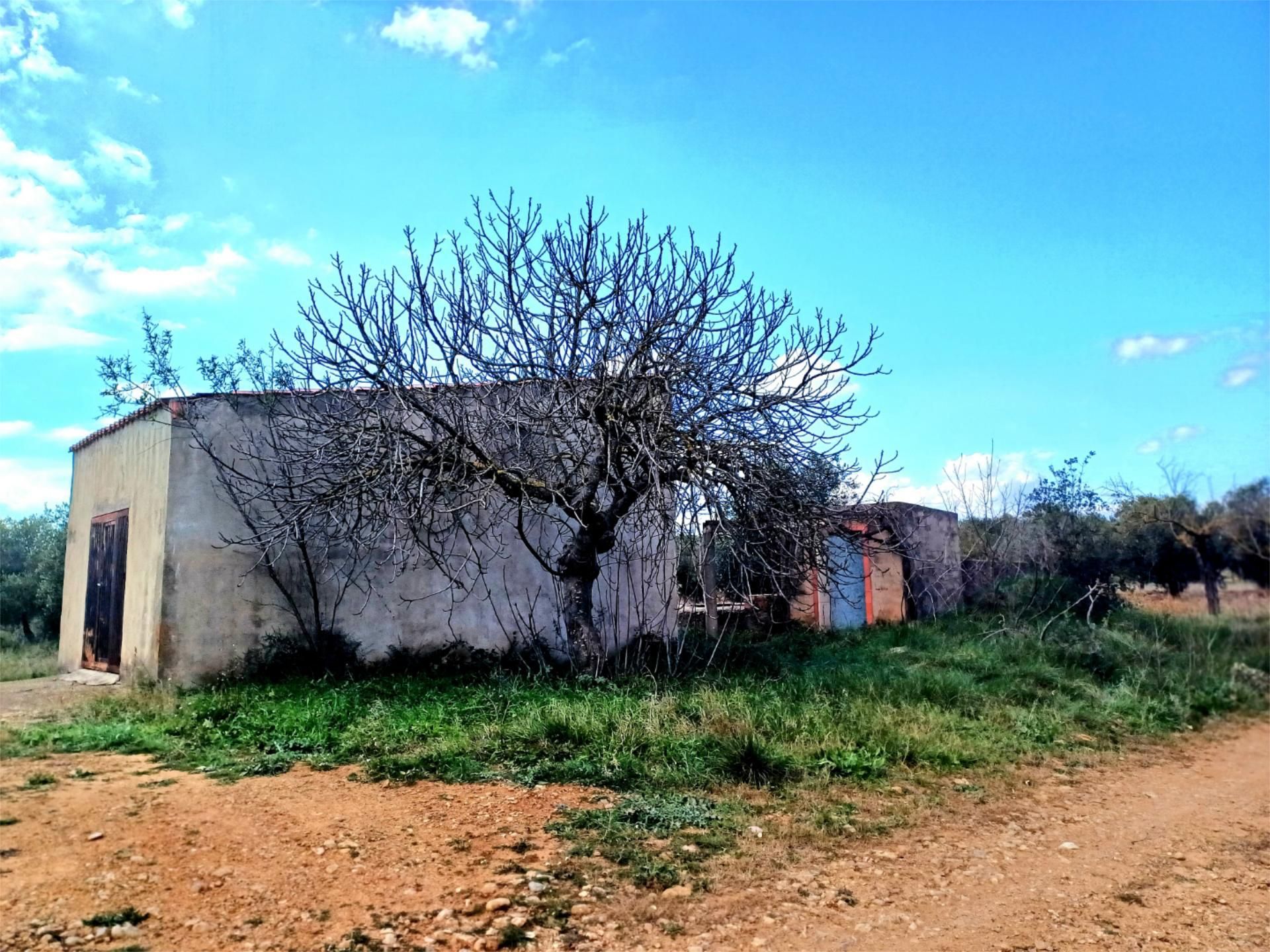 Country house for sale in Vall d'Alba  with Terrace and Swimming Pool