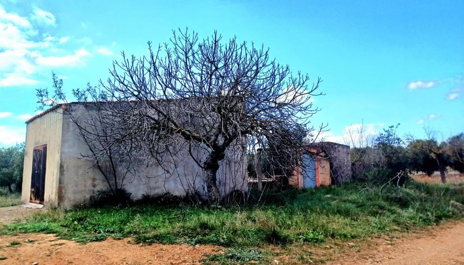 Foto 1 de Finca rústica en venda a Cv-157, 4, Vall d'Alba, Castellón