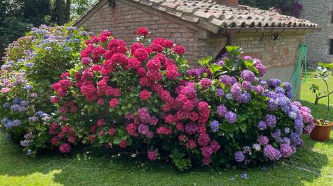 Finca rústica en venda a Barrio Valledal, 35, Val de San Vicente , Cantabria - imatge 3 Foto 3 de Finca rústica en venda a Barrio Valledal, 35, Val de San Vicente , Cantabria