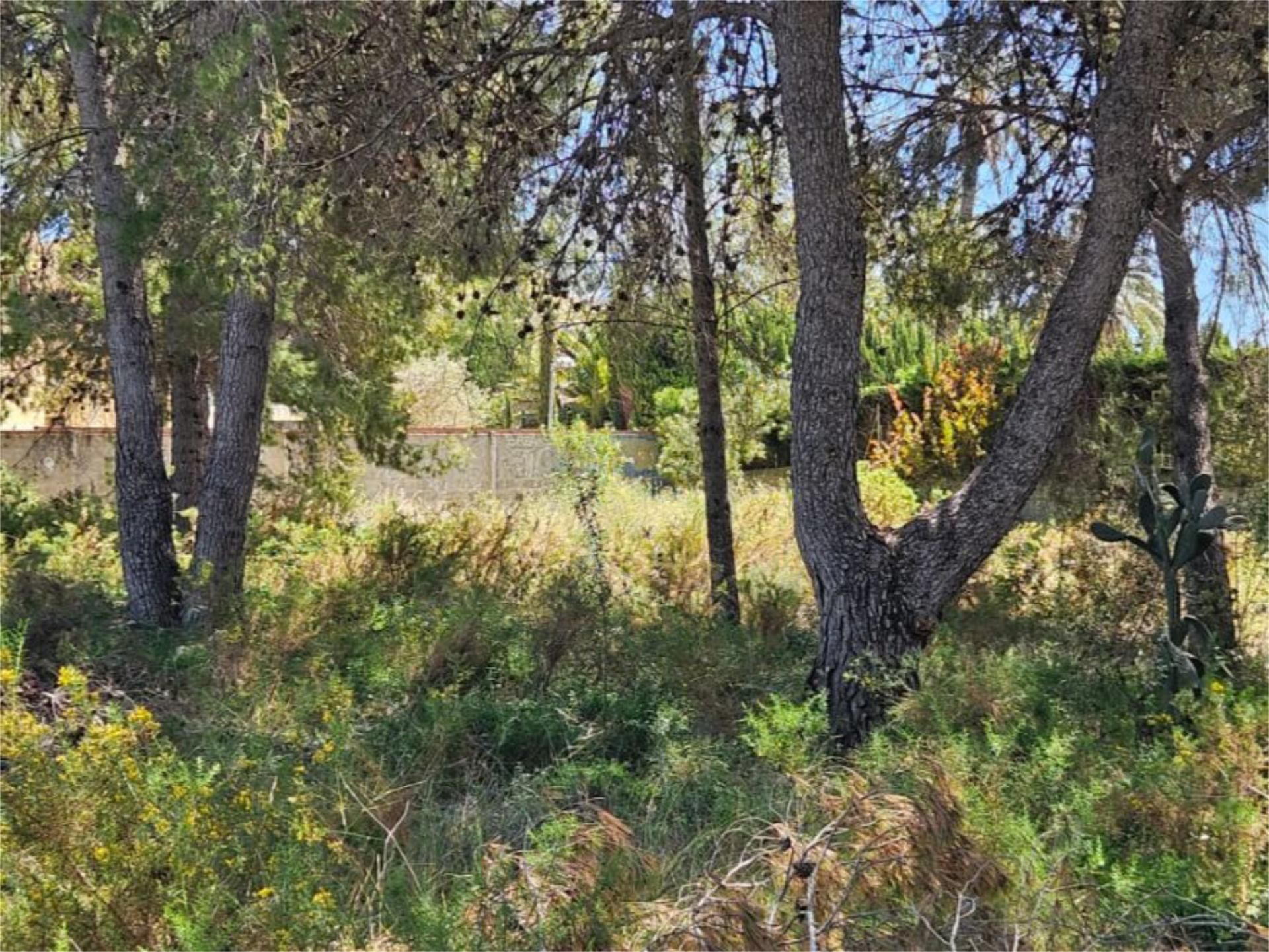 Constructible Land for sale in Paterna